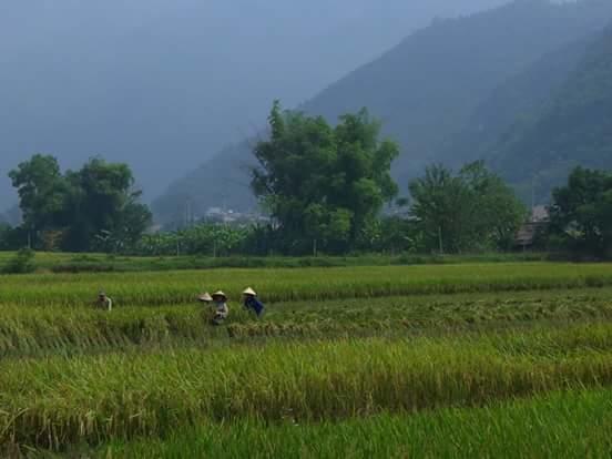 Linh Soi Homestay Mai Châu Dış mekan fotoğraf