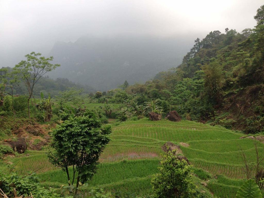 Linh Soi Homestay Mai Châu Dış mekan fotoğraf